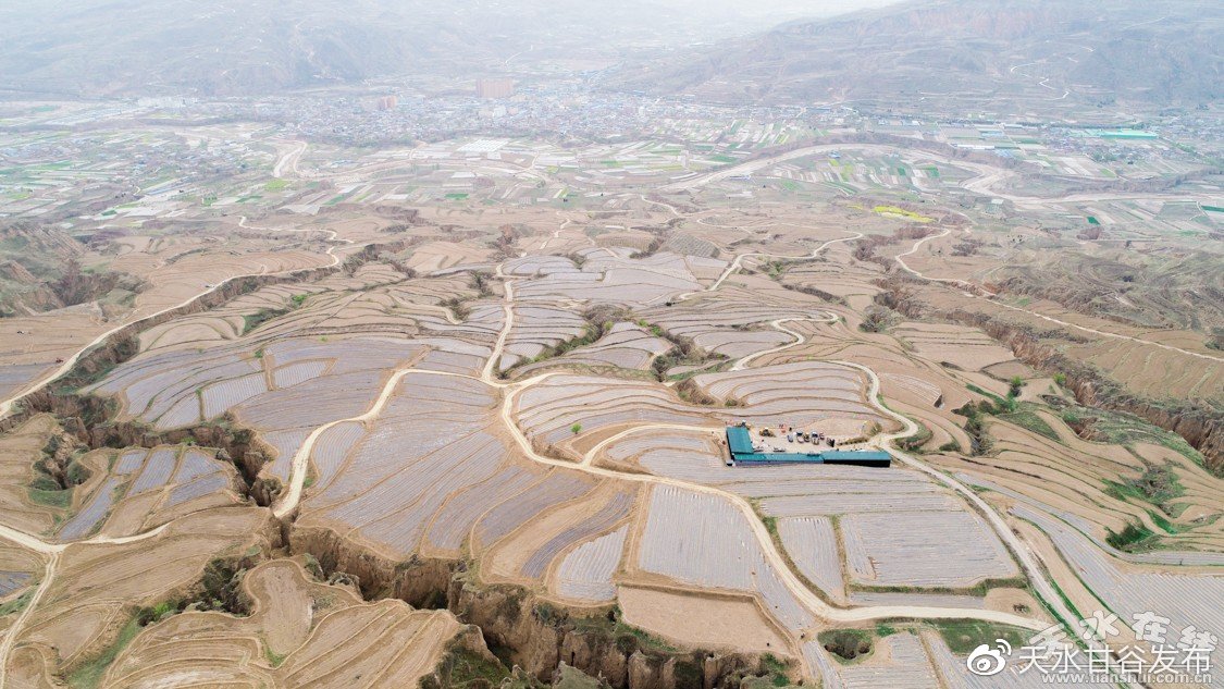 橘子代涨平台快手